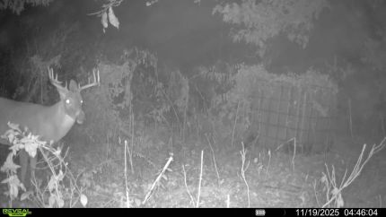 Farm and Ranch for sale in Crittenden County, Arkansas