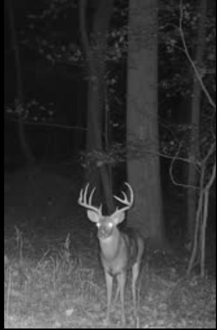 Recreational Property for sale in Hardin County, Illinois