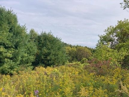 Recreational Property for sale in Oneida County, New York