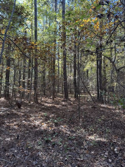 Farm and Ranch for sale in Lee County, Mississippi