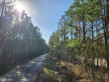 Timberland Property for sale in San Jacinto County, Texas