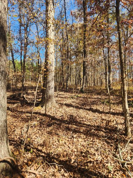 Timberland Property for sale in  , Georgia