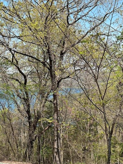 Land for sale in  , Missouri