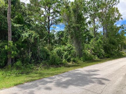 Land for sale in Flagler County, Florida