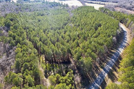 Recreational Property for sale in Union County, Mississippi