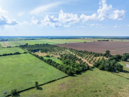 Farm and Ranch for sale in Wharton County, Texas