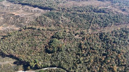 Recreational Property for sale in Union County, Mississippi