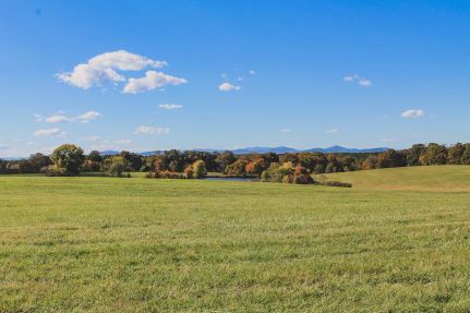 Undeveloped Land for sale in Albemarle County, Virginia