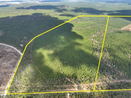 Timberland Property for sale in  , Texas