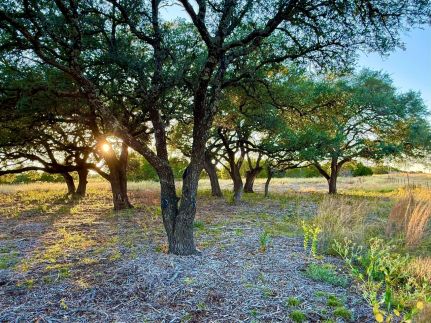 Land for sale in Coryell County, Texas