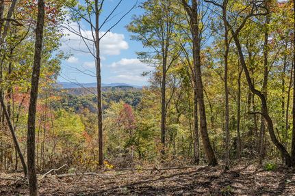 Land for sale in Scott County, Tennessee