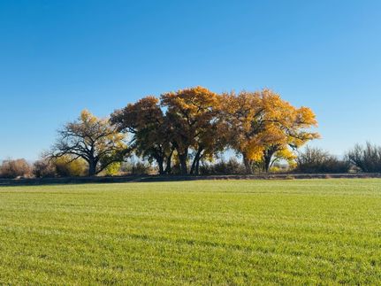 Farm and Ranch for sale in Socorro County, New Mexico