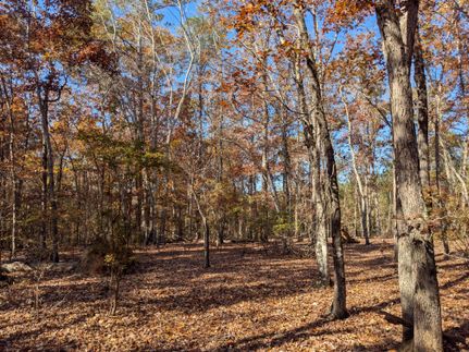 Land for sale in Kershaw County, South Carolina