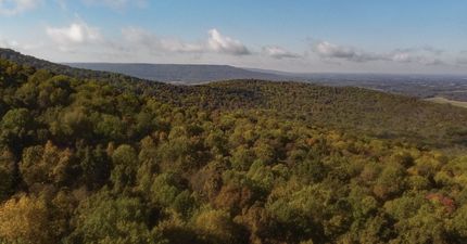 Land for sale in Grundy County, Tennessee