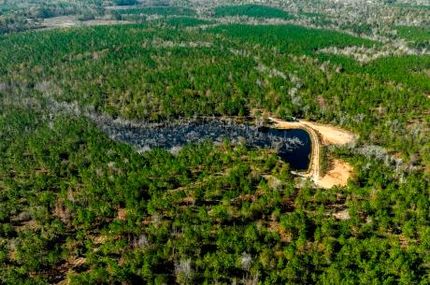 Timberland Property for sale in Laurens County, Georgia