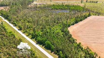 Undeveloped Land for sale in Burke County, Georgia