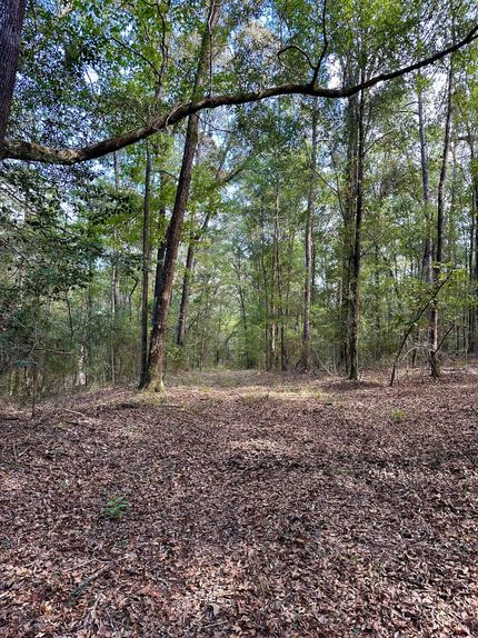 Timberland Property for sale in Covington County, Alabama