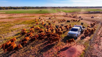 Farm and Ranch for sale in  , Oklahoma