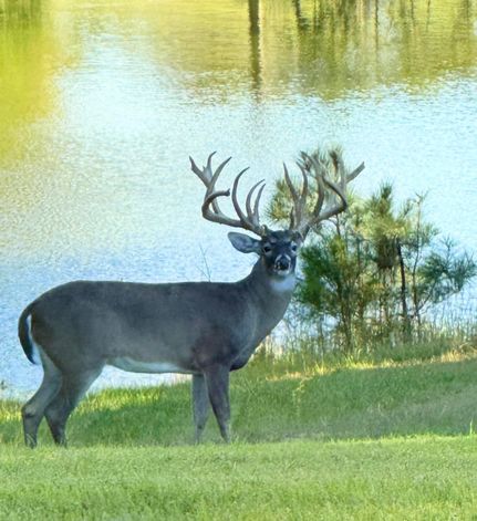 Land for sale in Gregg County, Texas