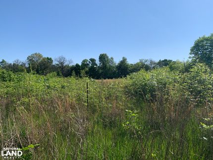 Timberland Property for sale in Richland Parish, Louisiana