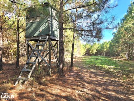 Recreational Property for sale in Barbour County, Alabama