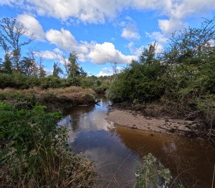 Farm and Ranch for sale in Covington County, Mississippi
