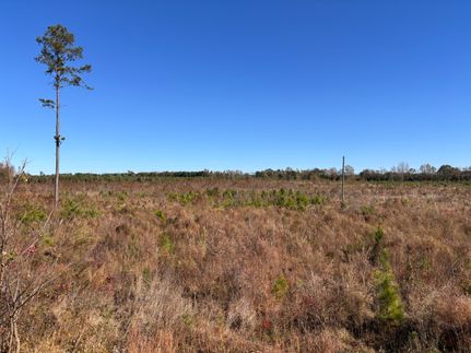 Land for sale in Calhoun County, South Carolina