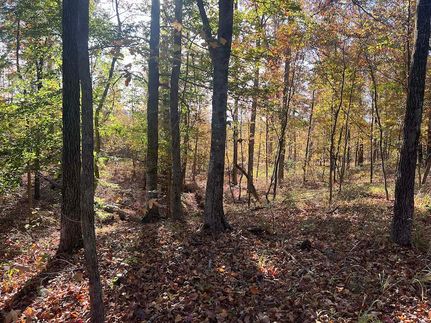 Undeveloped Land for sale in  , Arkansas