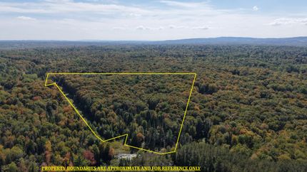 Undeveloped Land for sale in Oneida County, New York