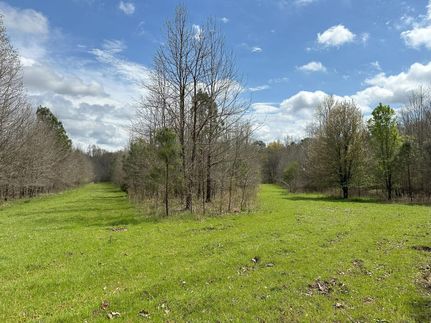 Recreational Property for sale in Oglethorpe County, Georgia