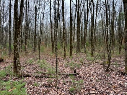 Farm and Ranch for sale in Oneida County, New York