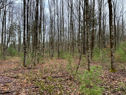 Homesite for sale in Oneida County, New York