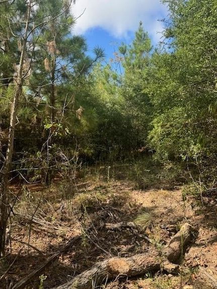 Undeveloped Land for sale in Bastrop County, Texas
