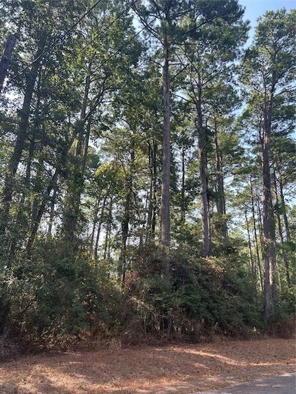 Undeveloped Land for sale in Polk County, Texas