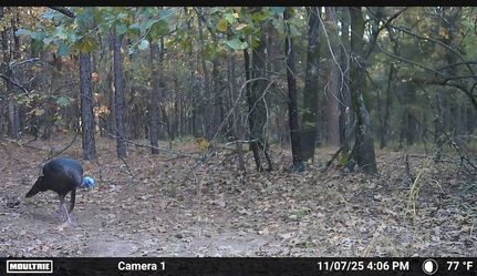 Land for sale in Choctaw County, Oklahoma