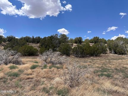 Homesite for sale in Apache County, Arizona