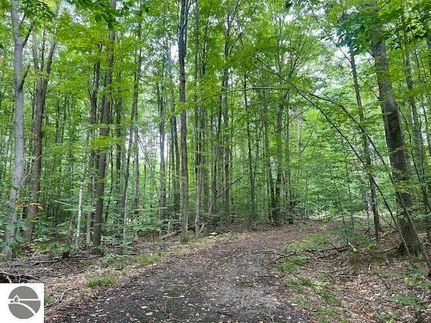 Homesite for sale in Antrim County, Michigan