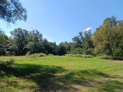 Undeveloped Land for sale in Leon County, Texas