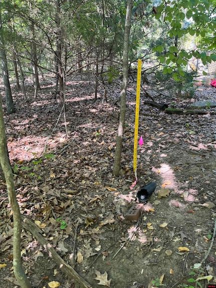 Undeveloped Land for sale in Baxter County, Arkansas