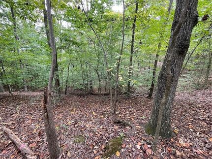 Timberland Property for sale in Oconee County, South Carolina