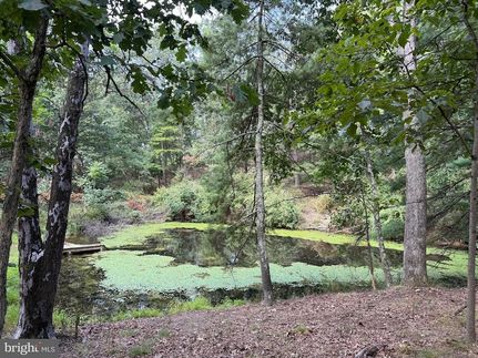 Undeveloped Land for sale in Morgan County, West Virginia