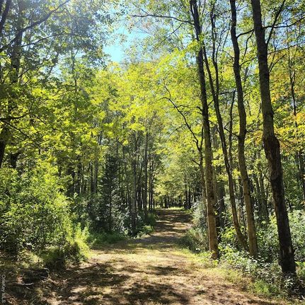 Land for sale in Sullivan County, New York