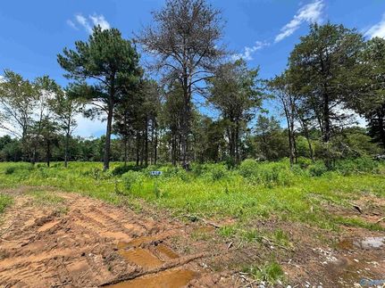 Homesite for sale in Marshall County, Alabama