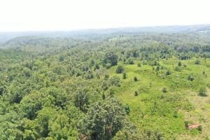 Undeveloped Land for sale in Searcy County, Arkansas