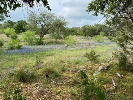 Undeveloped Land for sale in Blanco County, Texas