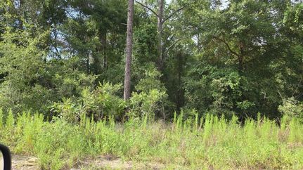 Undeveloped Land for sale in Marion County, Florida