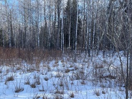 Land for sale in Forest County, Wisconsin