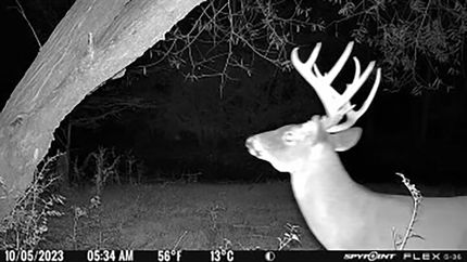 Hunting Property for sale in Richland County, South Carolina