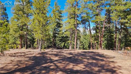 Homesite for sale in Teller County, Colorado