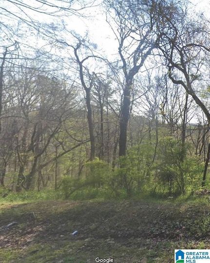 Undeveloped Land for sale in Jefferson County, Alabama